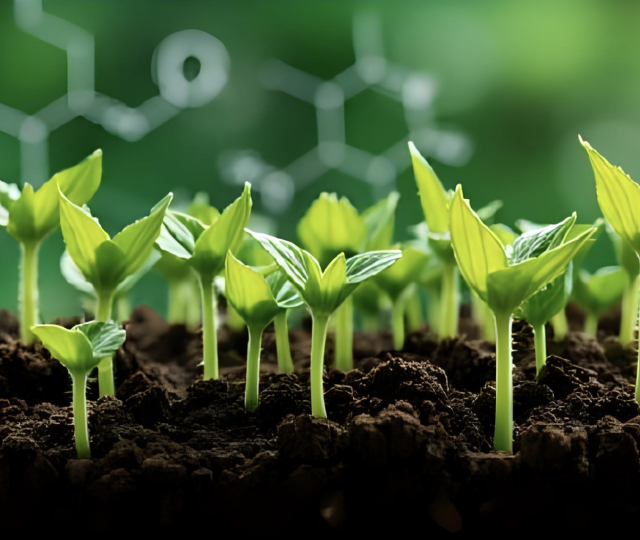 Xantho Bio. participated and presented in NPIC 2024 International Symposium on Natural Product Innovation and Commercialization